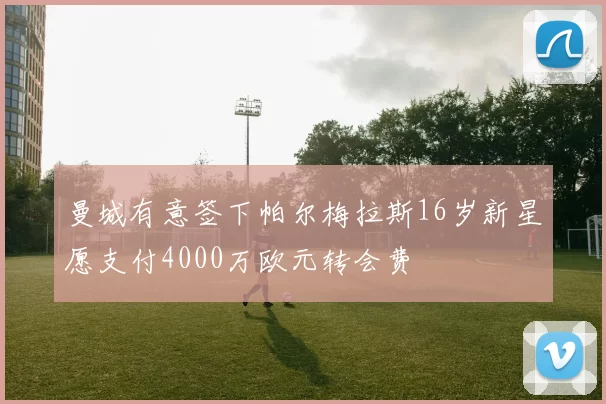 曼城有意签下帕尔梅拉斯16岁新星愿支付4000万欧元转会费